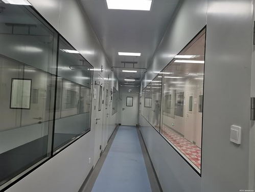 洁净窗的作用与特点 聚焦中空玻璃的应用与优势